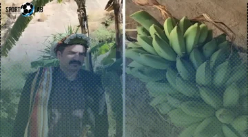 سعر كيلو الموز الصخري في جازان يصل إلى 75 ريال.. شاهد تجربة المزارع وسبب التسمية الآن